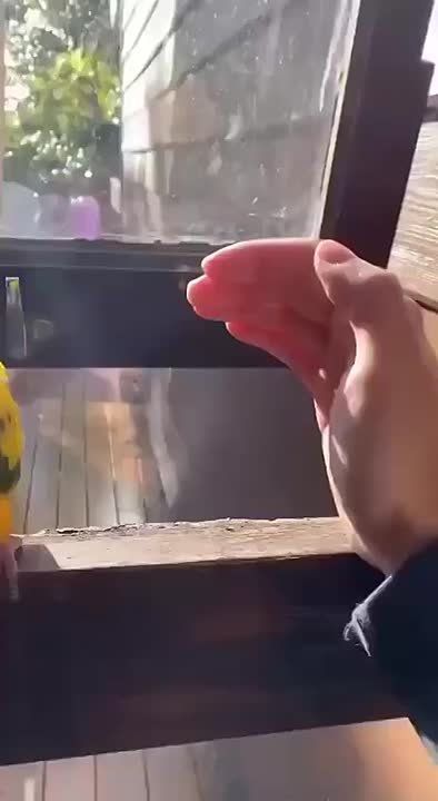  ,  !