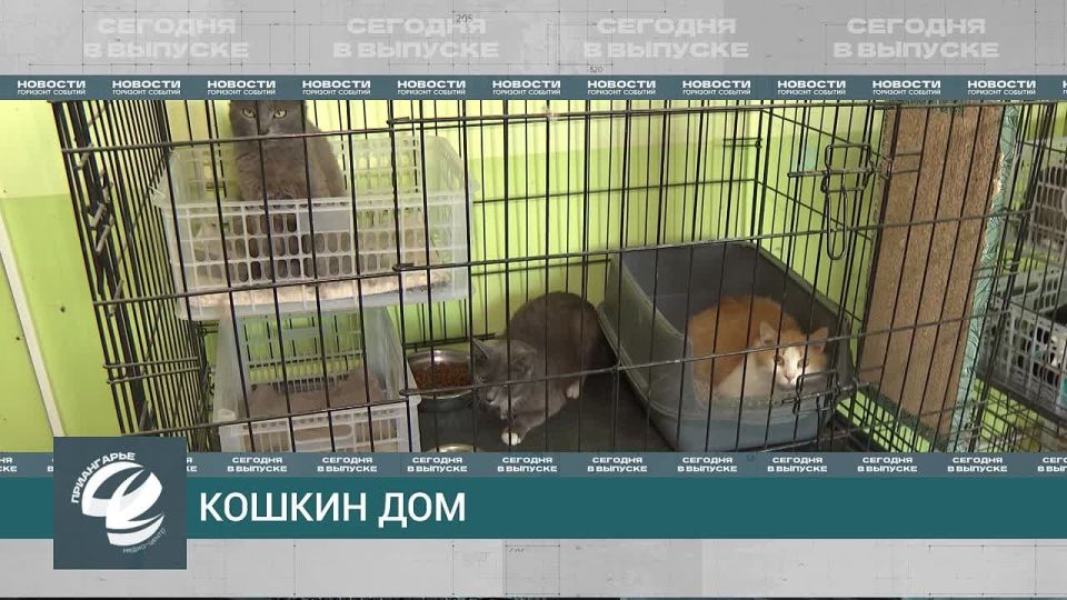  !.  18:30    &quot;