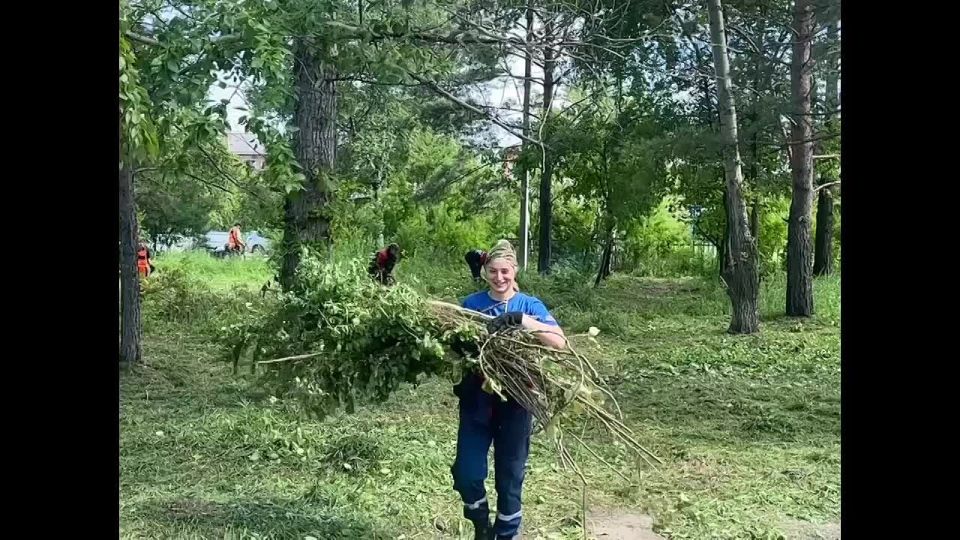  :        , 