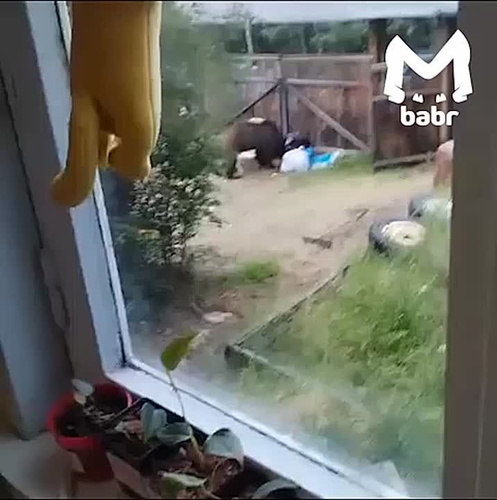        -