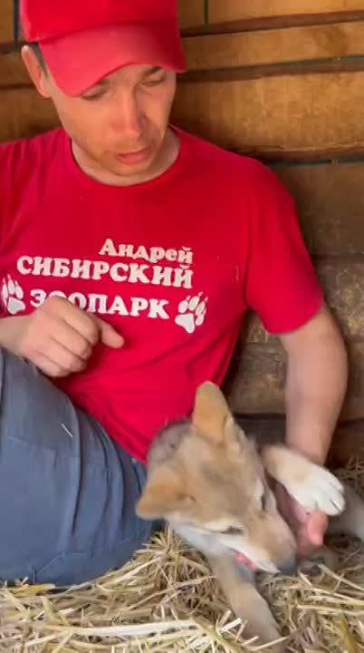   5 :          