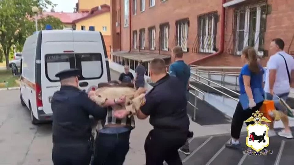     ,       