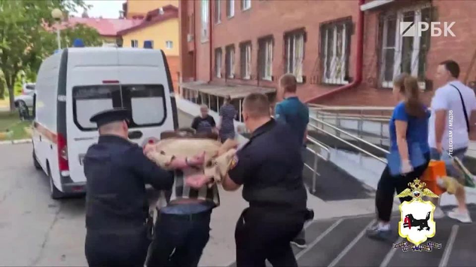     ,              