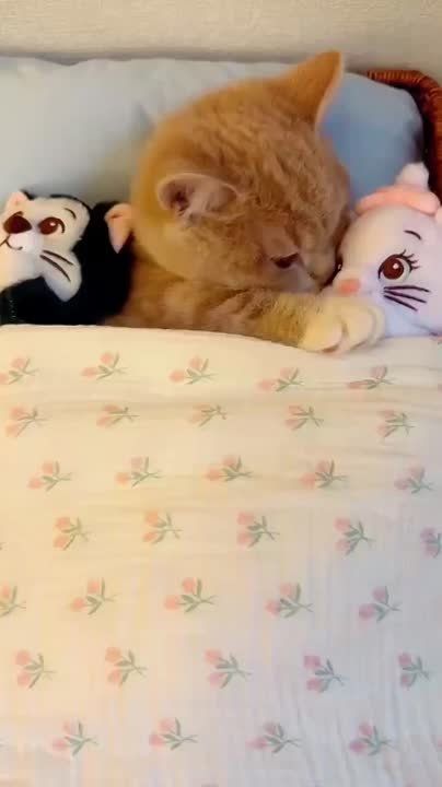  ,  !