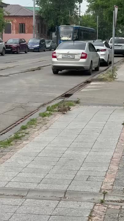  ,        ?        !