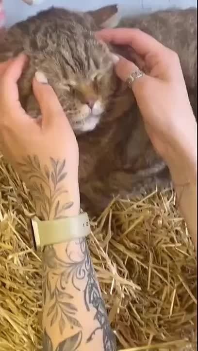  ,  !