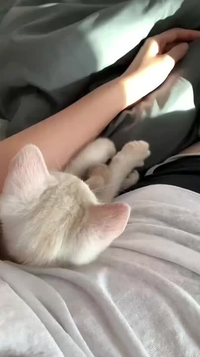  ,  !