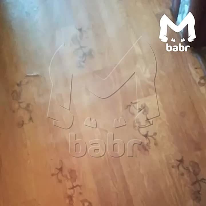   -     