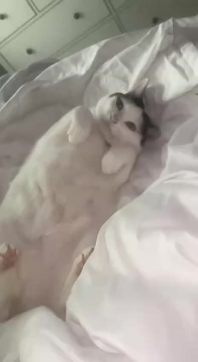  ,  !