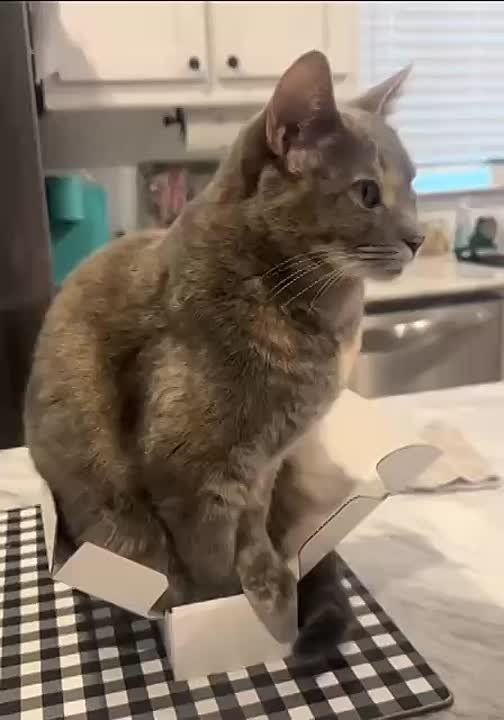  ,  !