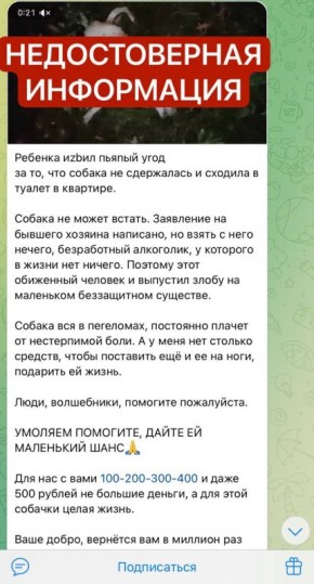          ,    :