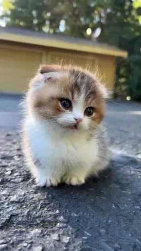  ,  !