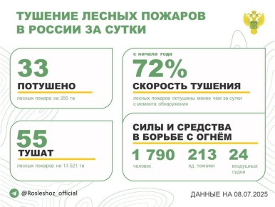 За прошедшие сутки в 12 регионах России потушили 33 лесных пожара