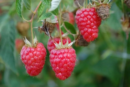     1      :    