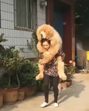  ,  !