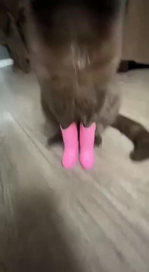  ,  !   