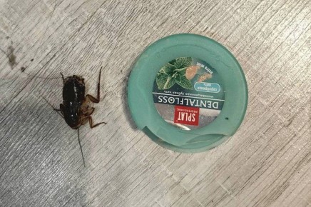   101                 