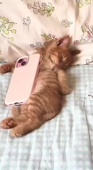  ,  !