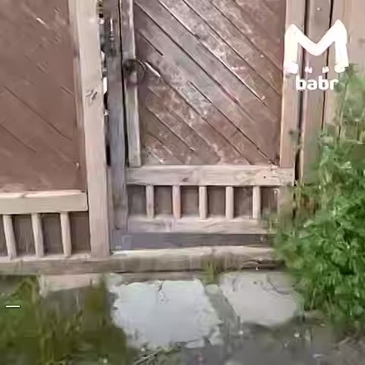 ,         ,    