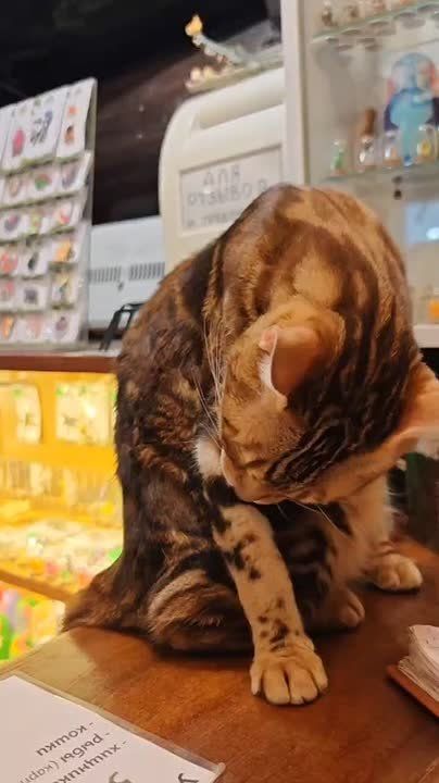          ,  8     