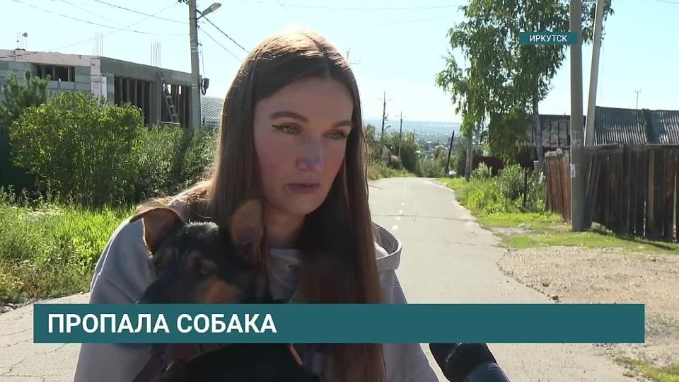   !.     ,   