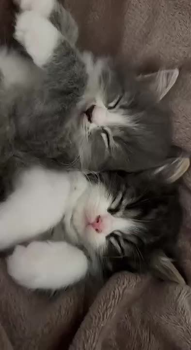  ,  !