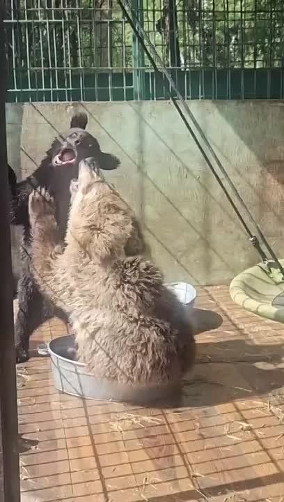 -..     ||    