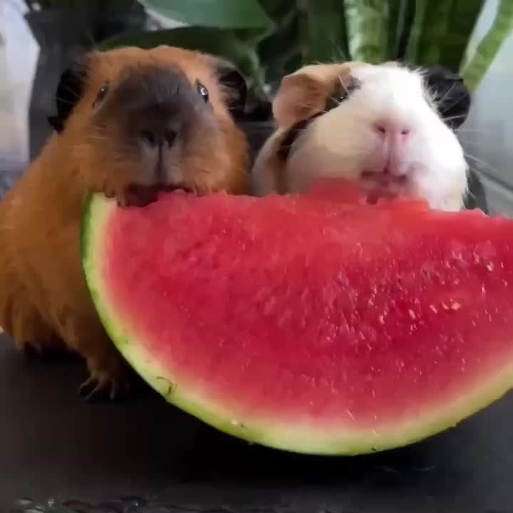 ,  !