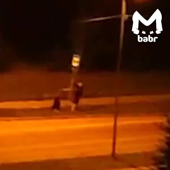 &quot;  ! *** !&quot;