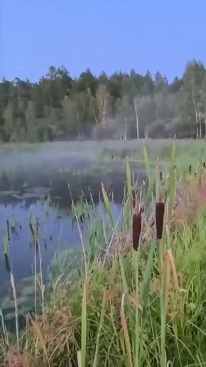   . : @baikalhill