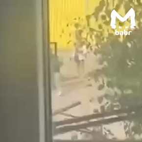          -