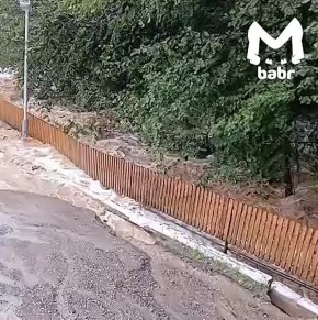   -    