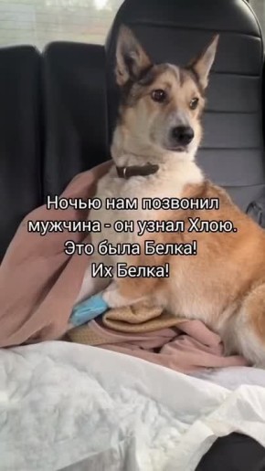 , -             