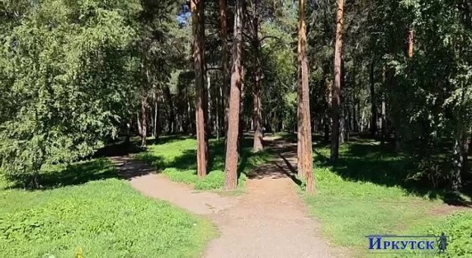       -   !