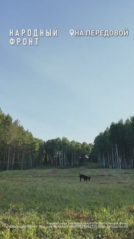   ,        &quot;&quot;
