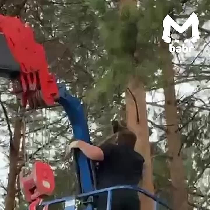   ,      ,  ,      