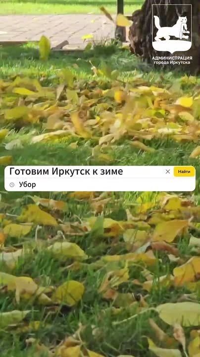   !   :   #_  !