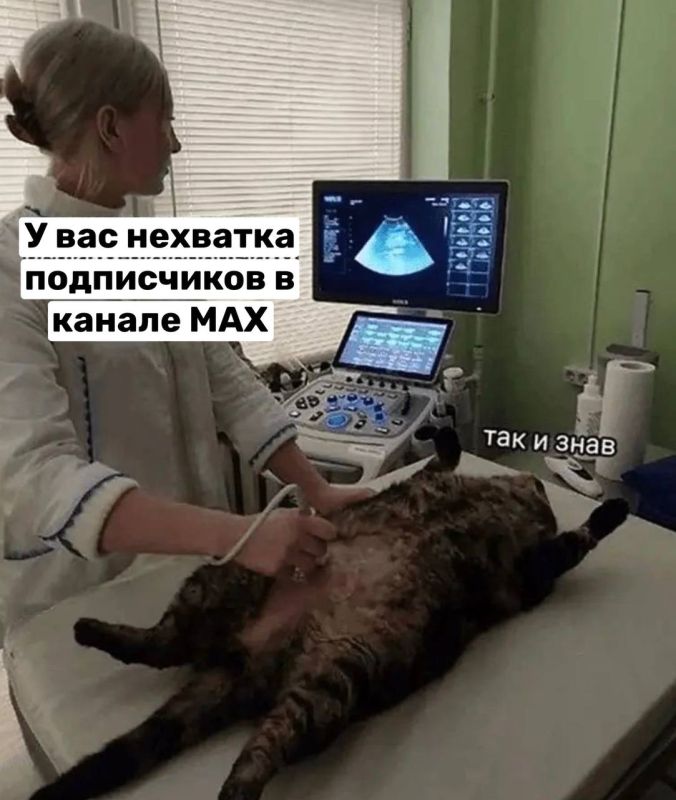 -   MAX!
