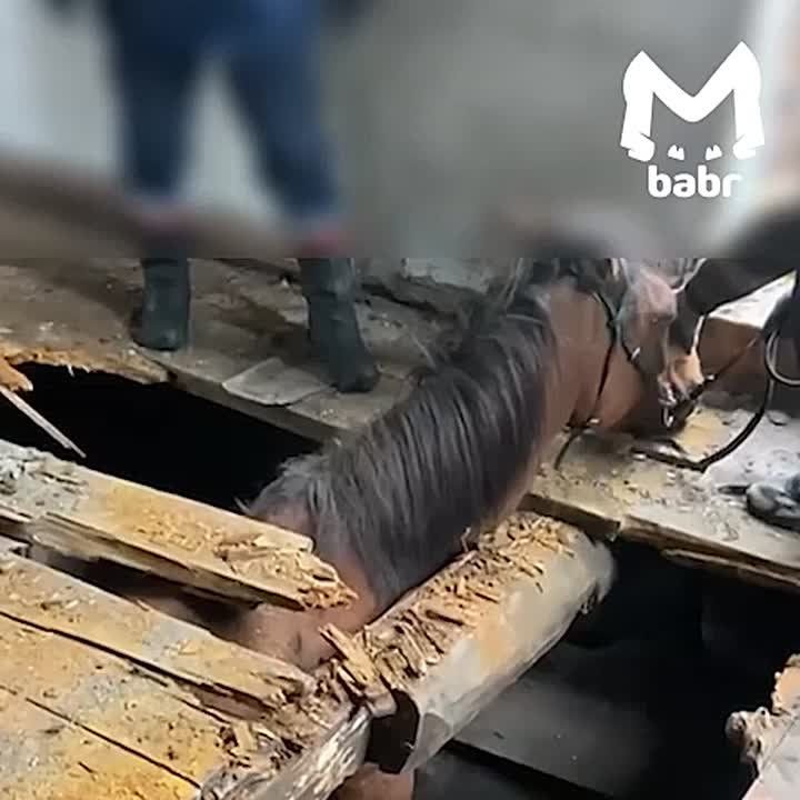 ,     ,  ,        