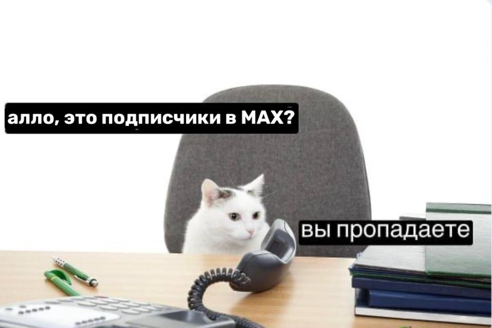 &quot;-&quot;   MAX!