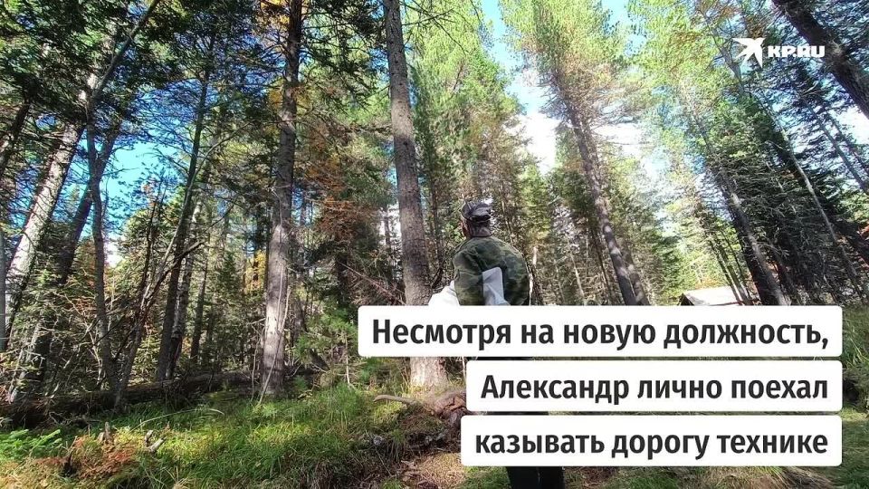 -    ,       -       ,   ,   ,  