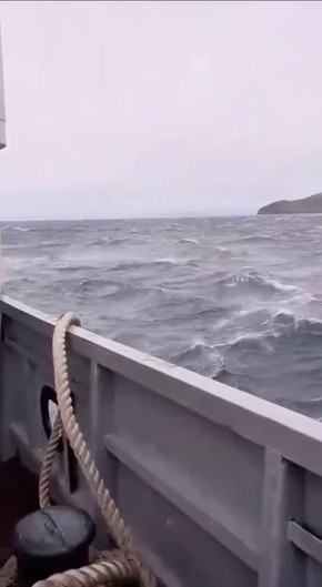       - 