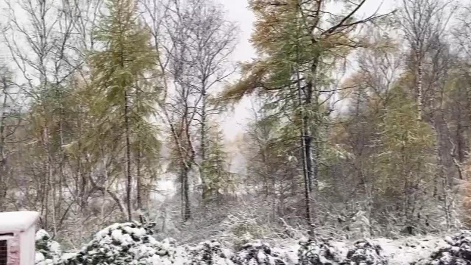   .      ,   -1 