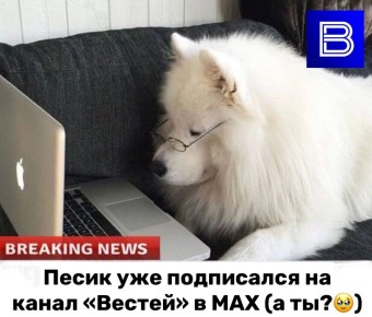 &quot;-&quot;   MAX!