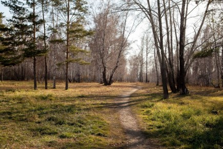 Доброе утро!. Ночь была на редкость беспокойной