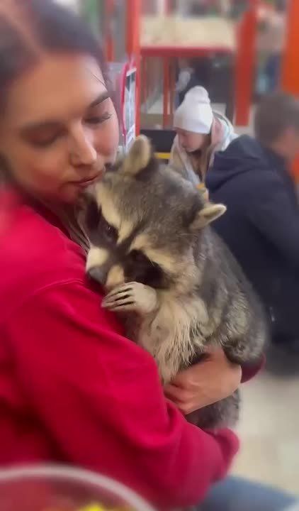 Доброй ночи, Иркутская область!