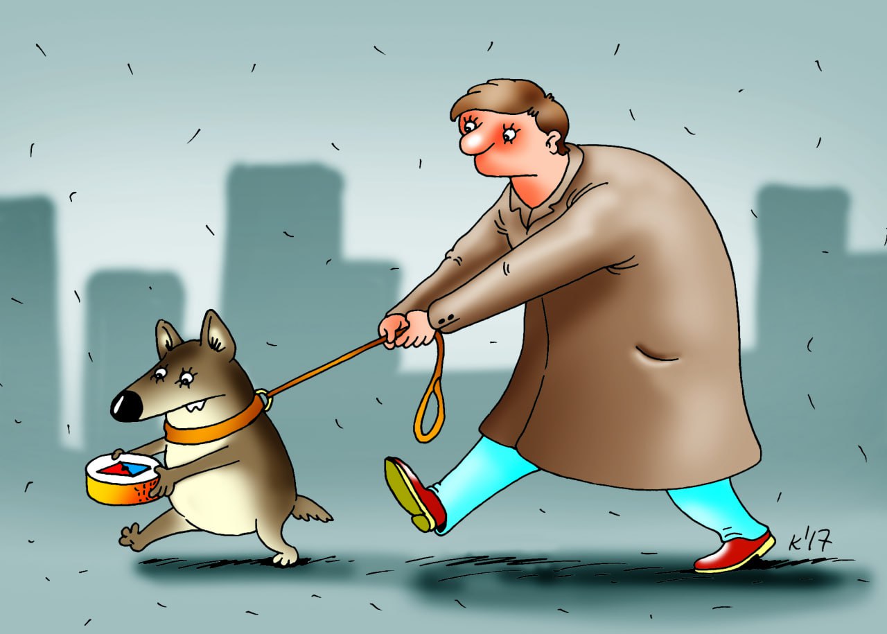 «Питбультерьеры – опасные, а шпицы – глупые»: мифы о породах домашних животных, в которые мы продолжаем верить
