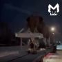 Мамонта встретили водители во время снегопада в Иркутской области