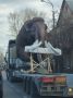 Интрига недели: в Иркутск прибыл мамонт! Уже известно, что он поселится в Иркутском зоопарке