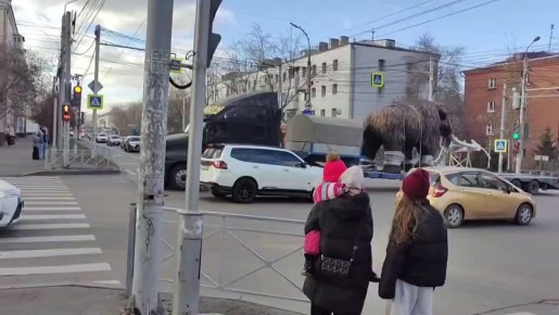 Мамонта привезли в Иркутск